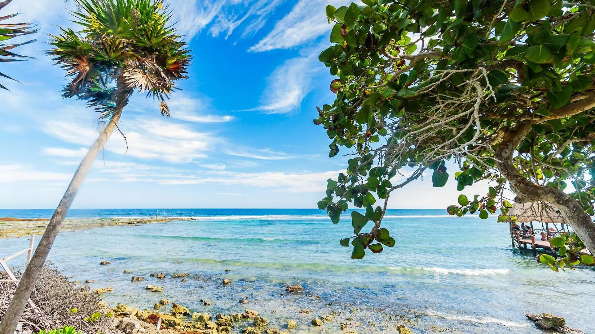 Santamar By Tao Beach Condos With Pool & Walk To Ocean Akumal 0*,